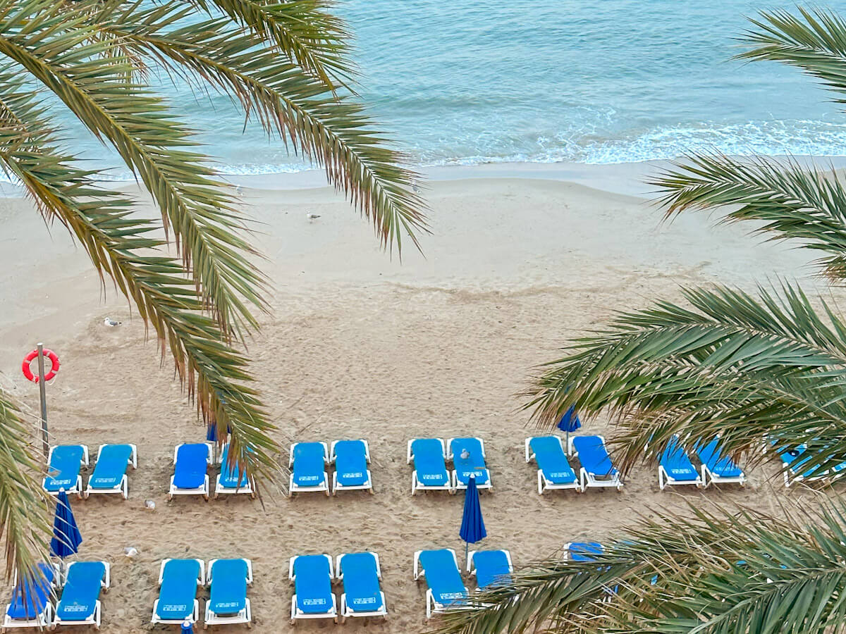 High-angle view through palm fronds looking down at empty blue sun loungers and gentle turquoise waves at Platgeta del Mal Pas.