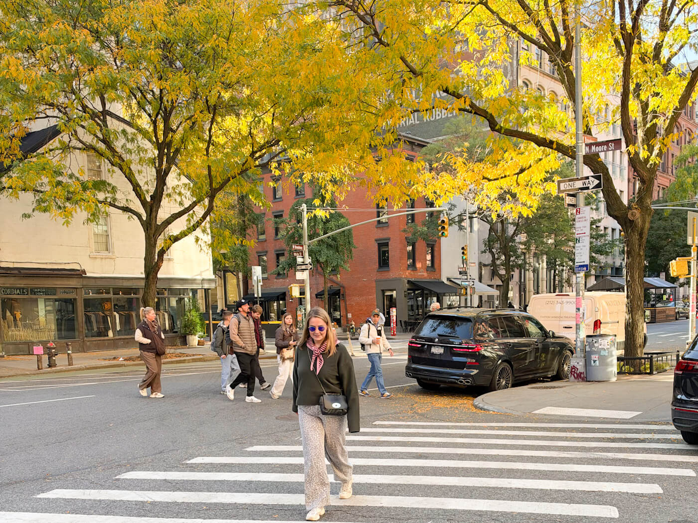 Charlie crossing a street crosswalk in Manhattan framed by bright yellow autumn trees during New York in fall.